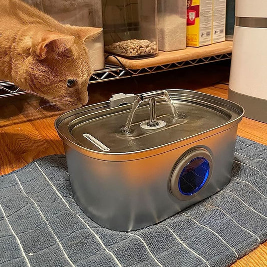 10 Creative Ways to Keep Your Pet Hydrated with Cat Water Fountains & More - Rellaty