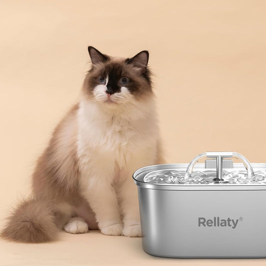 The Ultimate Guide to Keeping Your Pet's Water Fountain Sparkling Clean - Rellaty