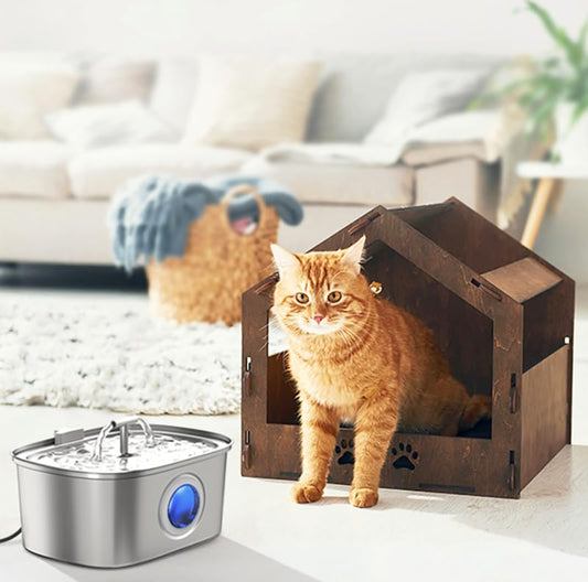 Why a Stainless Steel Pet Fountain is a Purr-fect Choice for Your Feline Friend - Rellaty