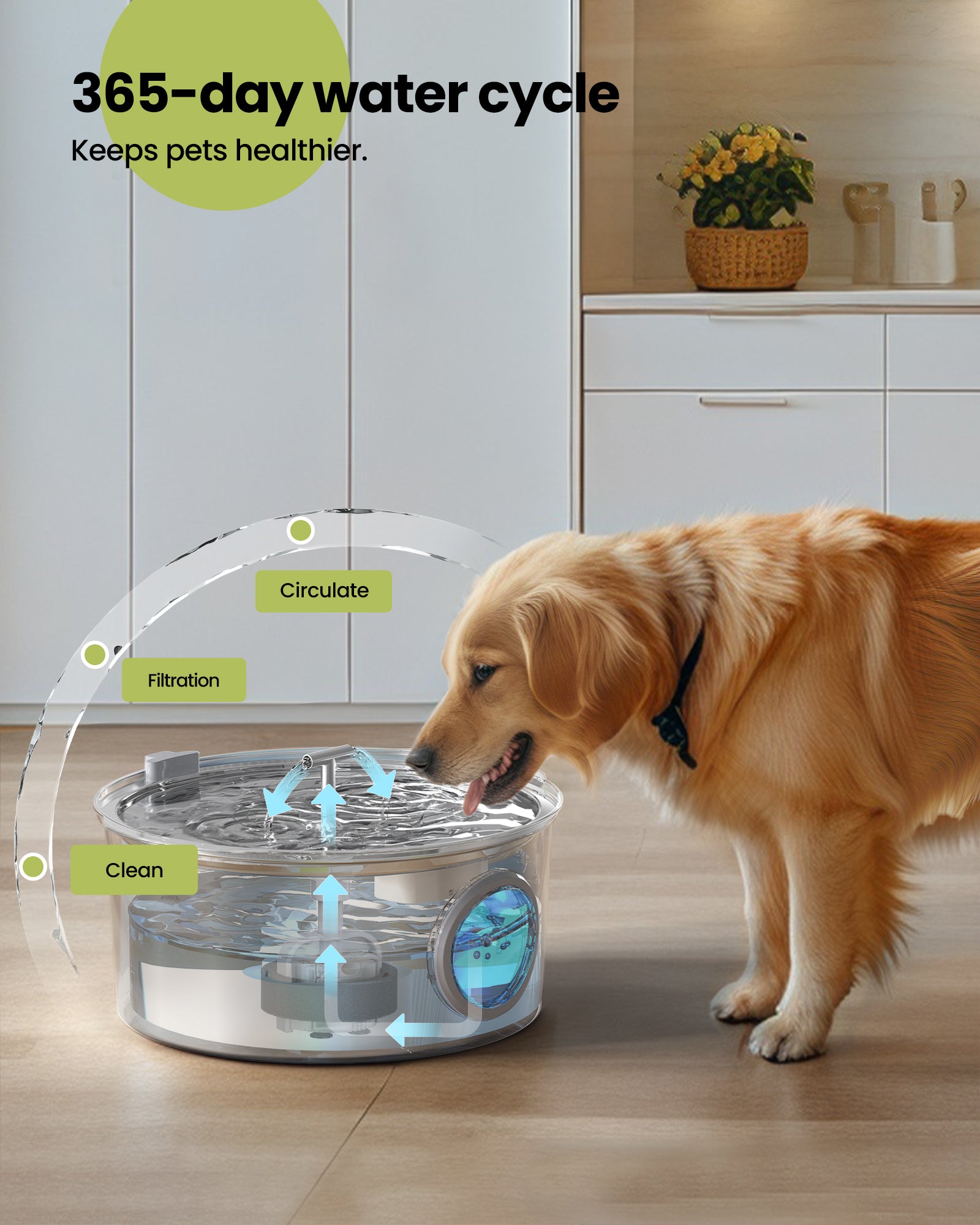 Pet fountain for large dogs best sale