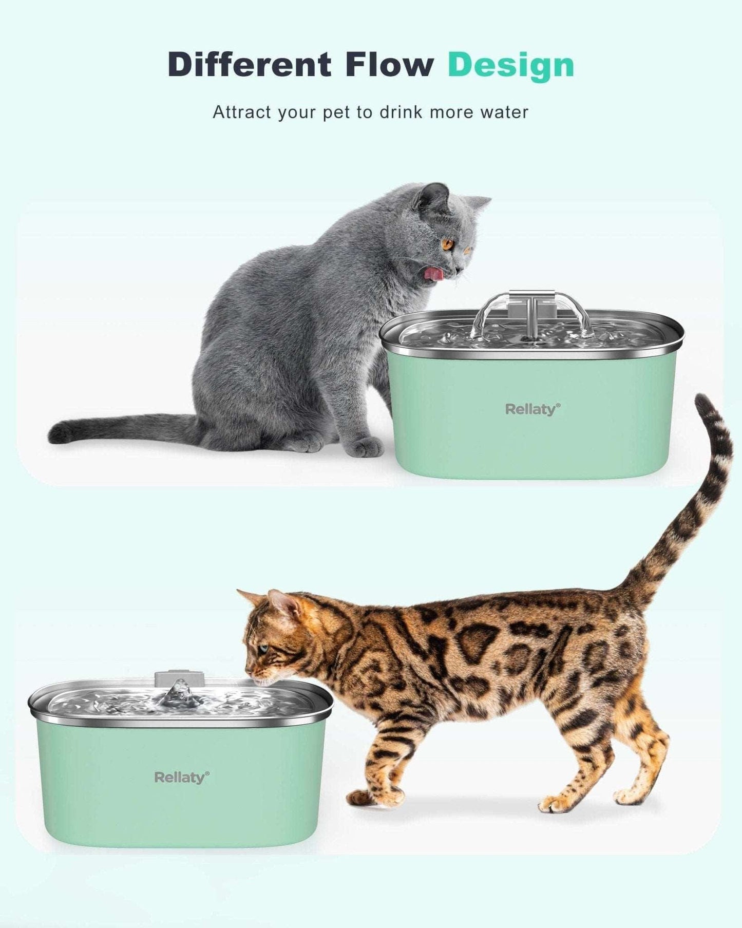 Green Stainless Steel Cat Water Fountain - Rellaty